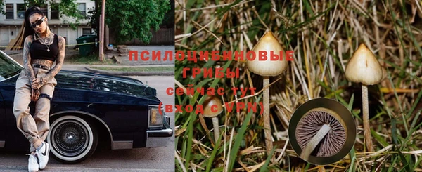 мяу мяу мука Инта