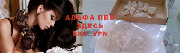 мяу мяу мука Инта