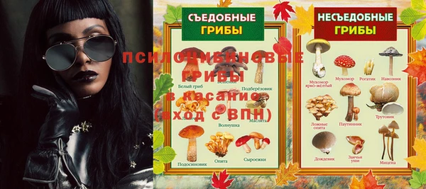 эйфоретик Иннополис