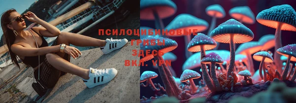 эйфоретик Иннополис