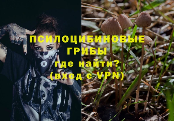 эйфоретик Иннополис