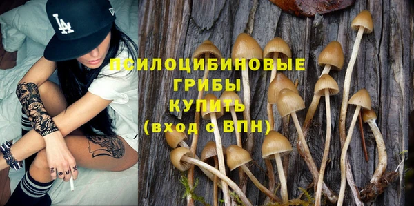 гидропоника Инсар